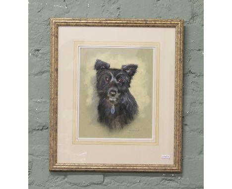 A framed pastel portrait of a terrier, signed.