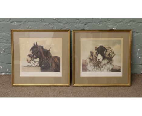 A pair of signed limited edition prints, portrait of a ram and one of a horse, signed Logan.
