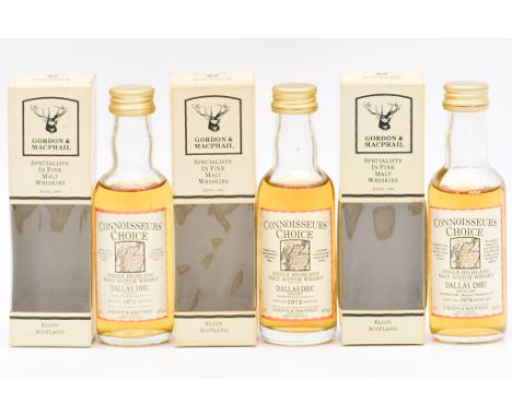 Gordon &amp; MacPhail, Connoisseurs Choice, old map label, 1990s bottling - Dallas Dhu, single Highland malt Scotch whisky: 1