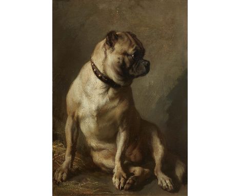 Norbert Schrödl, Sitzender MopsÖl auf Leinwand (doubliert). 47 x 34 cm.Signiert und datiert unten links: Norbert Schrödl 1870