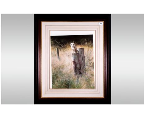 Pencil Signed Print By Steven Townsend Of A Barn Owl Resting On a Post, Framed & glazed. 24x28''