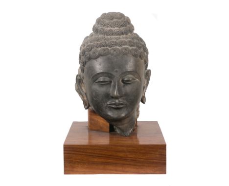 Buddha". Head in sculpted schist. Gandarha. IndiaMeasurements without plinth: 37 x 20 x 18 cm.With the label: "C. R. Fenton &