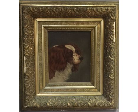 PORTRAIT OF A SPANIEL 19th century oil on panel Gilt framed 