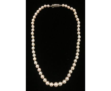 A VINTAGE PEARL AND SILVER NECKLACE With graduated pearl beads and silver marcasite set clasp. (l 38cm) (weight 16g) (pearls 