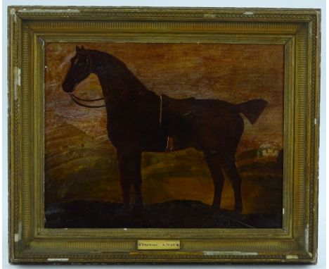 19th century oil on board, portrait of a horse, unsigned, 14'' x 18'', framed.