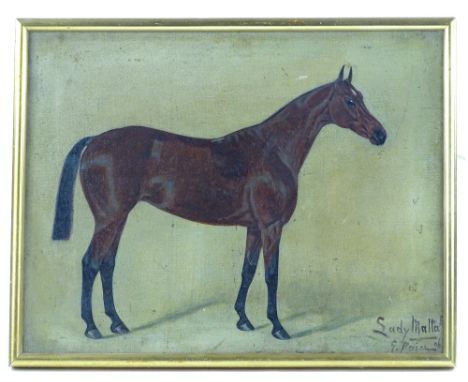 George Paice (1854-1925), oil on canvas, portrait of a Bay horse Lady Malta, signed and dated 1906, 14'' x 18'', framed.