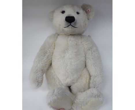 A Steiff white mohair covered Teddy bear with a mobile head, limbs and a stitched nose&nbsp; 22"h