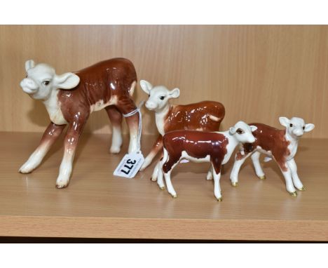 FOUR BESWICK HEREFORD CALVES, each brown and white, comprising model numbers 854, 901B, 1249E and 1406B, height of tallest 11