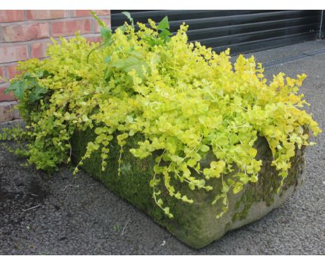 A 19th century sandstone trough, of rectangular form, 30cm H x 105cm W x 41cm D 