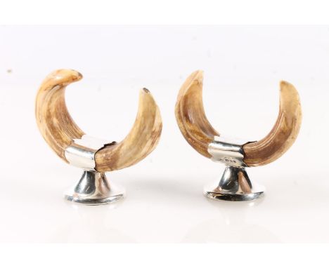 Pair of silver mounted boars tusk knife rests, makes marks AGW, London 1926, engraved to base 'Rowland Ward Ltd Naturalists L