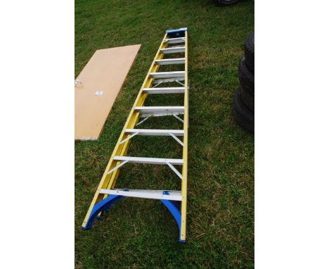 A lightweight nine-rung Step Ladder.