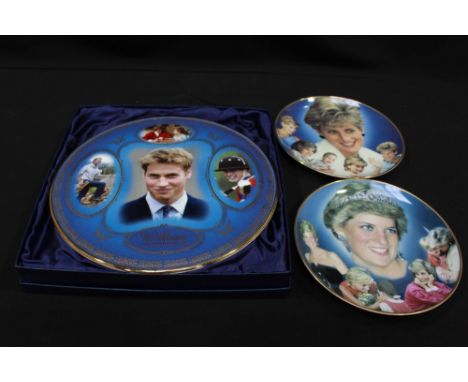 Eight Princess Diana collectors plates and a large Davenport 'William: Born to be King' plaque.