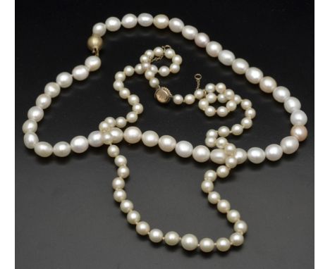 Two gold clasped pearl necklaces