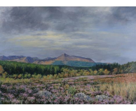 DOUGLAS GRAHAM (SCOTTISH CONTEMPORARY) &nbsp;THE ARRAN HILLS &nbsp;Oil on board, signed lower left, 36 x 49cm &nbsp;Together 