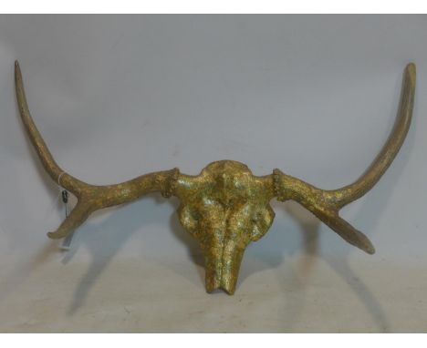 A pair of gilt painted stag antlers on skull, H.48 W.84cm 