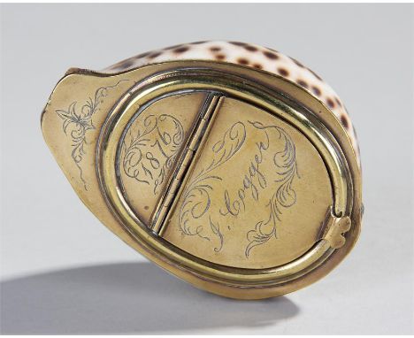 Victorian circa 1876 cowrie shell named and dated snuff box, the brass base with foliate swags, named J Cogger, 1876, 10cm lo