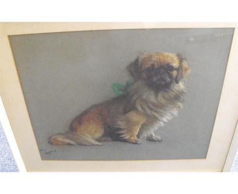 Cecil Aldin - Portrait of a Pekinese dog - pastel, framed, 52cm x 41cm 