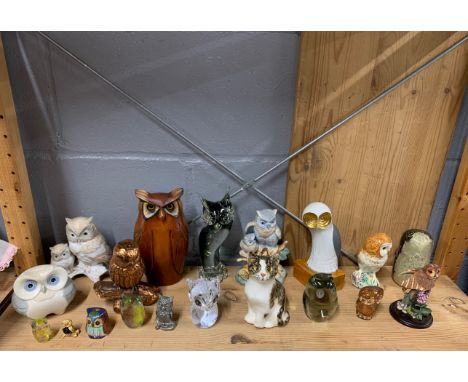 A collection of ceramic glass and other owls with a stray Winstanley kitten