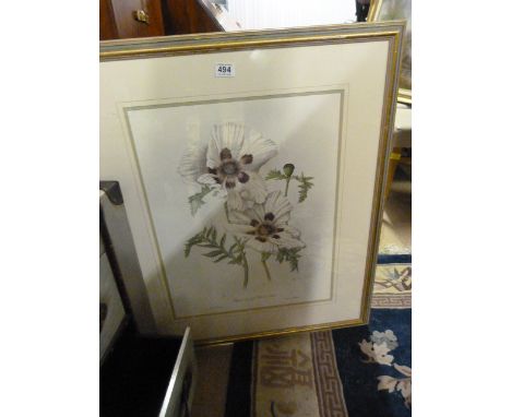 Ltd edition Botanical print