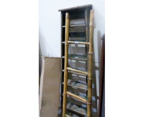 A bamboo ladder and wooden steps