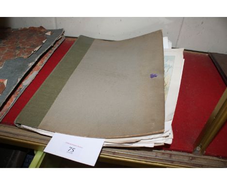 A folder containing a large quantity of unframed prints depicting various birds