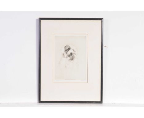 Harry Goffey (British 1871-1951) "Taffy"A dry point monochrome etching, limited edition and published by The Academy of Art, 