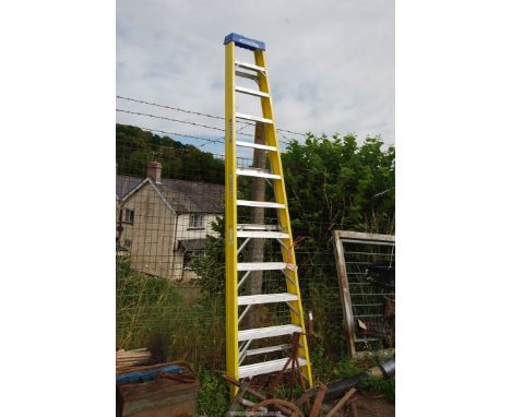 A large 'Werner' aluminium ladder.