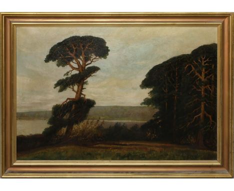 Unbekannter Maler (Anf. 20. Jh.) Mecklenburger See mit Kiefern. Öl/Lwd., re. u. sign. 54x 80 cm. R.