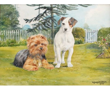 DM &amp; EM Alderson (20th Century)Study of a Jack Russell and Yorkie Terrier Signed and dated 1975, watercolour, 24cm by 31.