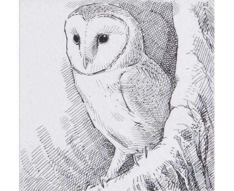 Robert Gillmore MBE PPSWLA (b.1936)"Barn Owl"Signed in pencil, pen and ink drawing, label verso "Illustration for 'Kingfisher