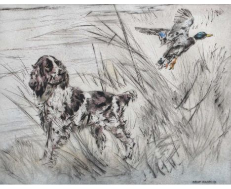 After Henry Wilkinson (British 1921-2011)Springer Spaniel observing a Mallard Signed and numbered 51/150 in pencil, etching; 