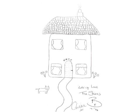 THE SHIRES collaborative pen on paper - house with armadillo roof, signed, 20 x 29cms
