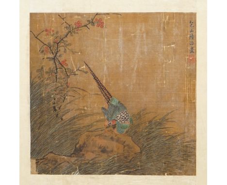 Chinese school, possibly Ming dynasty,  a painting of a pheasant perched on rocks, watercolour on silk laid down on paper, si