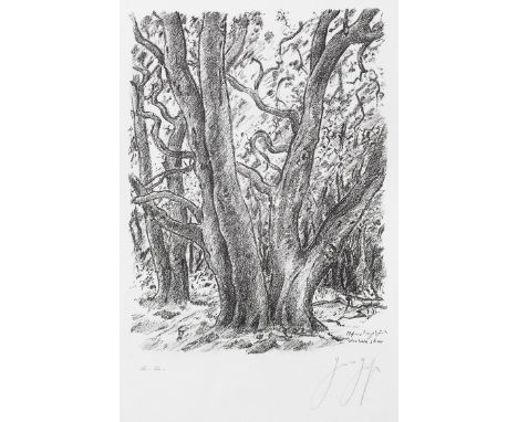 Günther Grass (1927 Danzig - 2015 Lübeck)"In der Heide". OriginaltitelLithografie/Papier, 2006. Aus dem zehnteiligen Bilderzy
