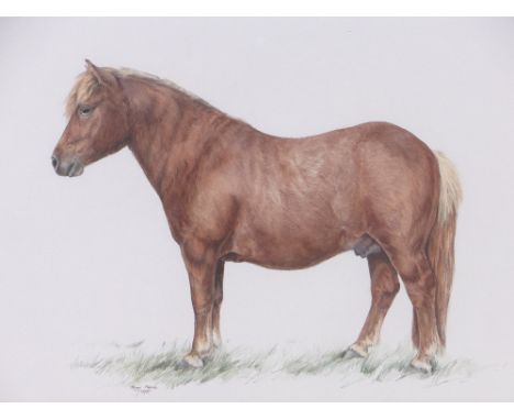 Trudy Friend,watercolour, portrait of a pony, "Firearm of Marsh Wood", signed and dated 1975, 11" x 15", framed.