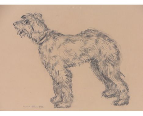 Kenneth Green,pencil drawing, portrait of a dog, signed and dated 1940, 11" x 15", framed.