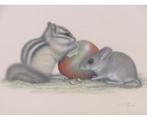 R H Petherick,watercolour, mice with an apple, signed, 11" x 16.5", framed.
