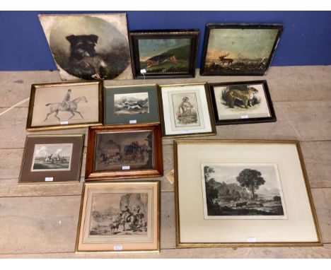 Quantity of various framed and glazed pictures, of animals, hunting, dog portrait, etc, see images 