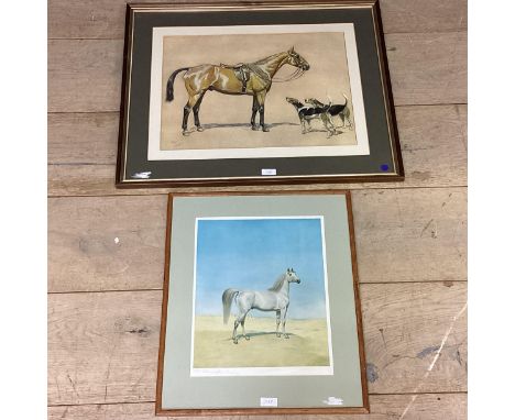 A Cecil Aldin print of horse and hounds, print signature lower left in partial gilt glazed frame, 36cm x 49.5cm Harrington Bi