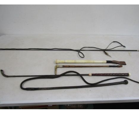 Riding crops and whip