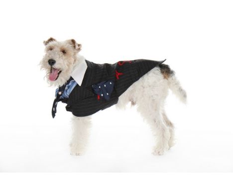 Five Anne Tyrrell couture dog outfits and designs, mostly daywear, modern, including a Chanel-style denim and leather ensembl