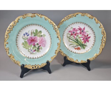 Pair of 19th century Copeland porcelain cabinet plates, hand painted with botanical flowers and foliage. Green printed marks 