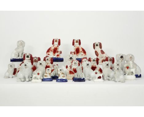 quite large collection of Staffordshire ceramic dogs || Vrij grote collectie "hondjes" in Staffordshire-faïence  -  hoogtes v
