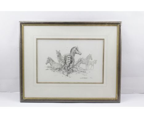 AFTER DAVID SHEPHERD "Zebras", limited edition black and white Print no. 230/495 with embossed stamp "Solomon & Whitehead", s