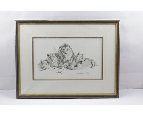 AFTER DAVID SHEPHERD "Lions", a limited edition black and white Print no. 480/495 with embossed stamp "Solomon & Whitehead", 