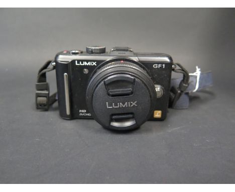 A Lumix Panasonic DMC-GF1 Camera with 0.2m/0.66ft-? Lens 