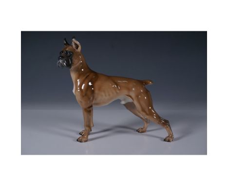 A finely crafted Rosenthal porcelain figurine of a Boxer dog, showcasing exceptional artistry and attention to detail. This h