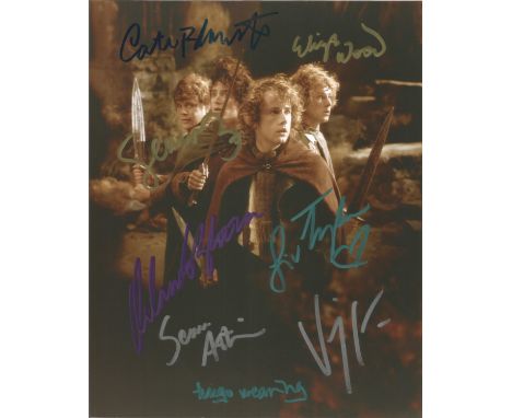 Lord of the Rings multisigned photo Elija Wood, Cate Blanchett, Liv Tyler, Orlando bloom, Sean Astin, Viggo Mortensen, Hugo W