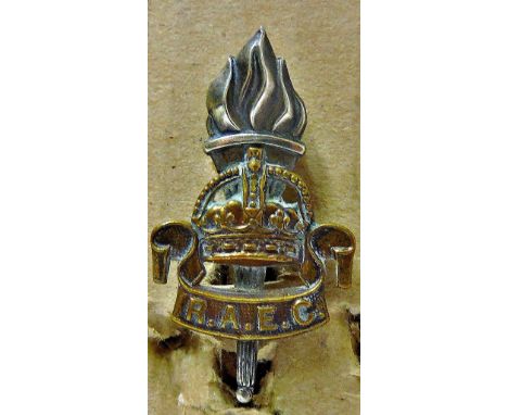 Royal Army Educational Corps (R.A.E.C) Cap Badge, KC