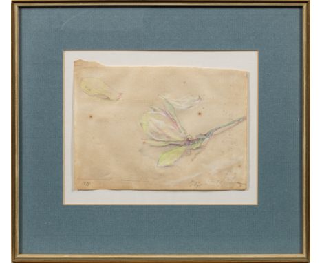 Horst Janssen (1929 Hamburg - 1995 ebenda)MagnolienblüteJanssen verwendete für seine Zeichnungen und Aquarelle - wie auch bei